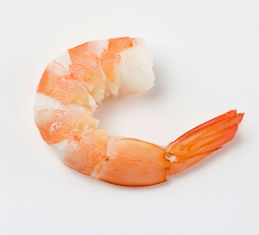 Frozen Vannamei Shrimp Price