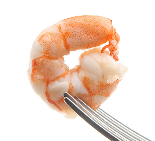 Vannamei White Shrimp