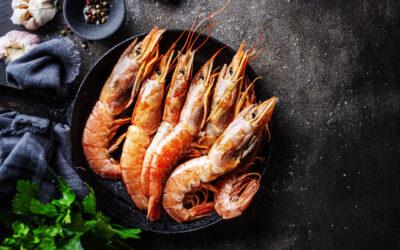 Vannamei Shrimp Price