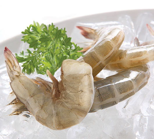 HLSO vannamei shrimp